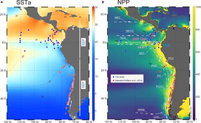 Coupled Coccolith-Based Temperature and Productivity High-Resolution Reconstructions in the Eastern Equatorial Pacific During the Last Deglaciation  and the Holocene